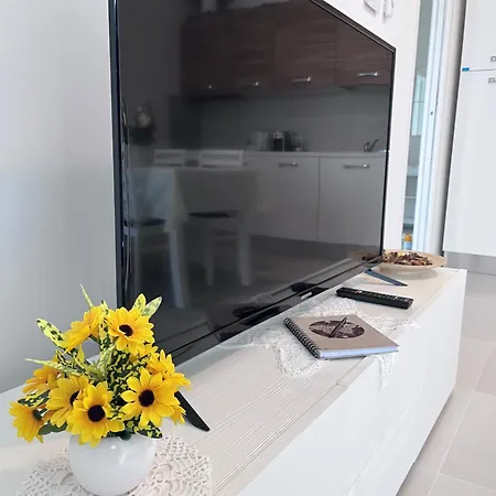 Sofy & Marty Apartment Cattolica