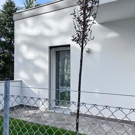 Sofy & Marty アパート *